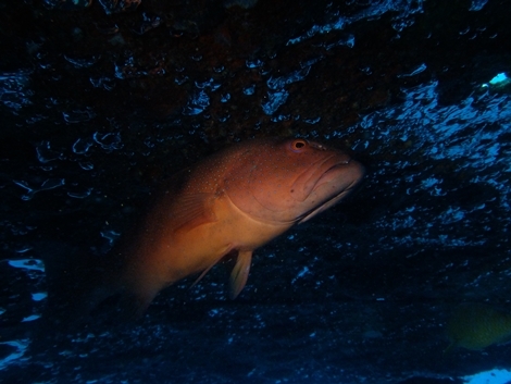 0725akajinn.JPG