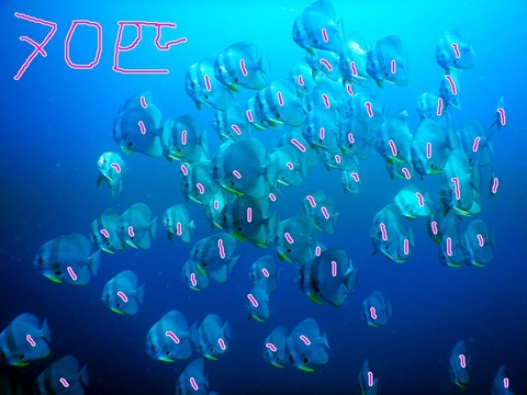 14uio.JPG