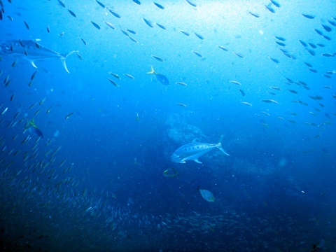 DSCN0195.JPG