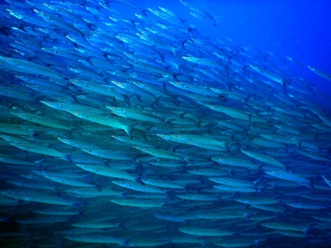 DSCN2306.JPG