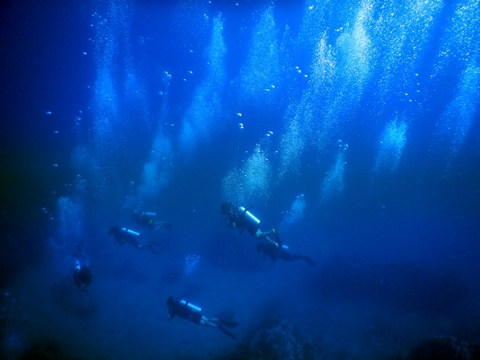 DSCN2381.JPG