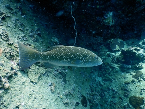 DSCN2416.JPG