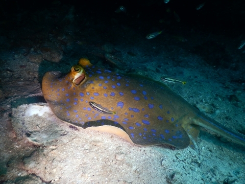 DSCN3598.JPG