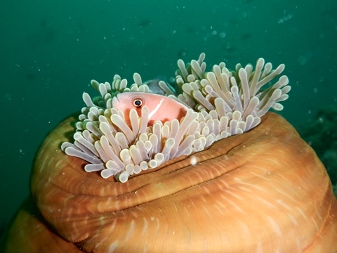 DSCN3656.JPG