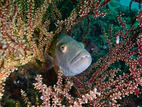 DSCN3667.JPG