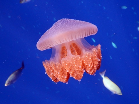 DSCN3692.JPG