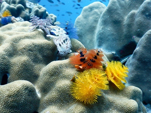 DSCN3711.JPG