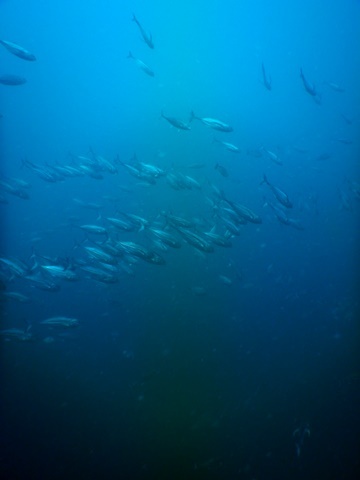 DSCN4457.JPG