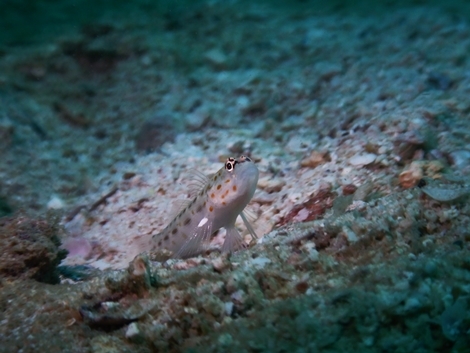 DSCN4836.JPG