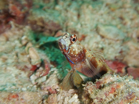 DSCN4880.JPG