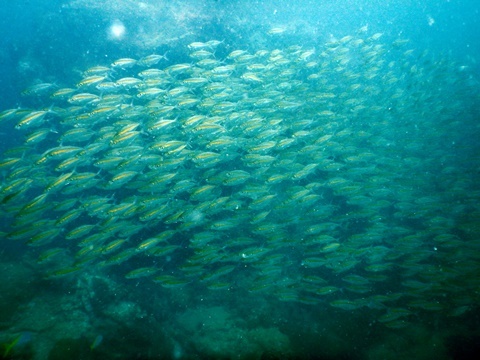 DSCN7575.JPG
