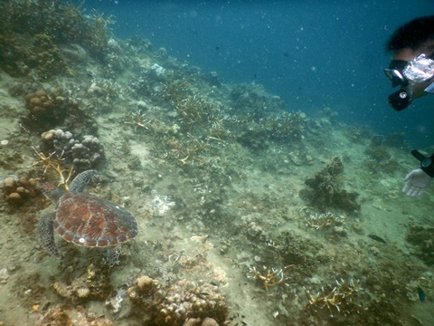 DSCN7627.JPG