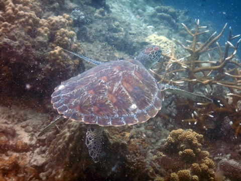 DSCN7629.JPG
