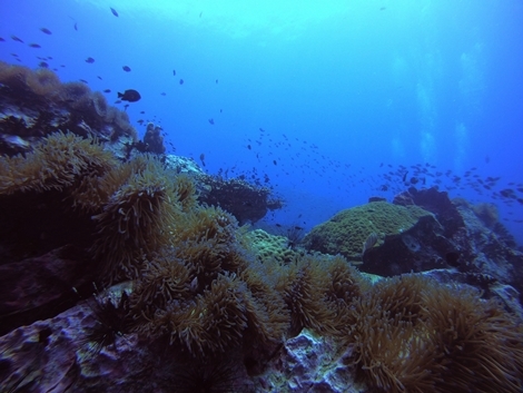 G0152409.JPG