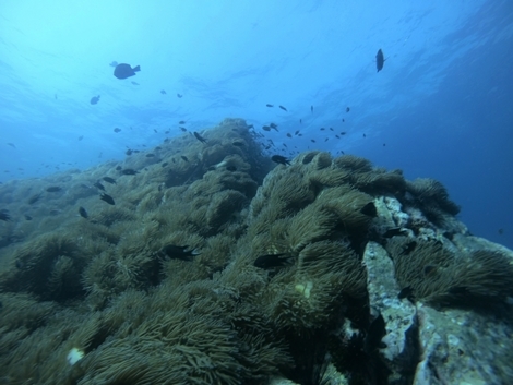 GOPR1607.JPG