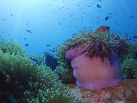 GOPR2379.JPG