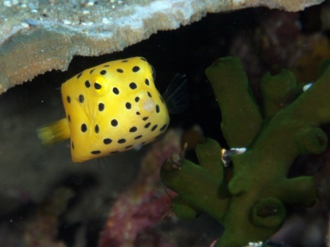 P1090794.JPG