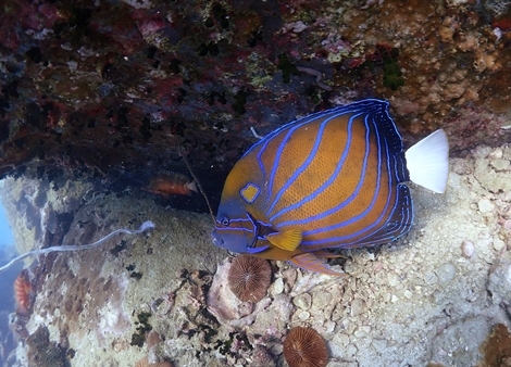 P3161450.JPG