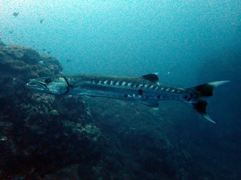 P4061565.JPG
