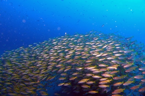P4274663.JPG