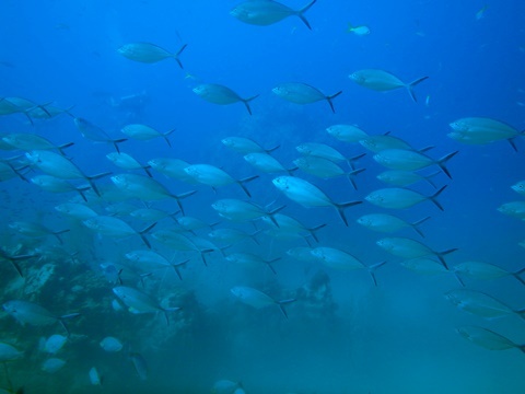 P5114628.JPG