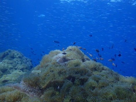 P5114654.JPG