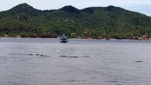 P_20180524_114838.jpg